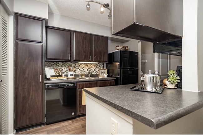 1 Bed, 1 Bath Kitchen