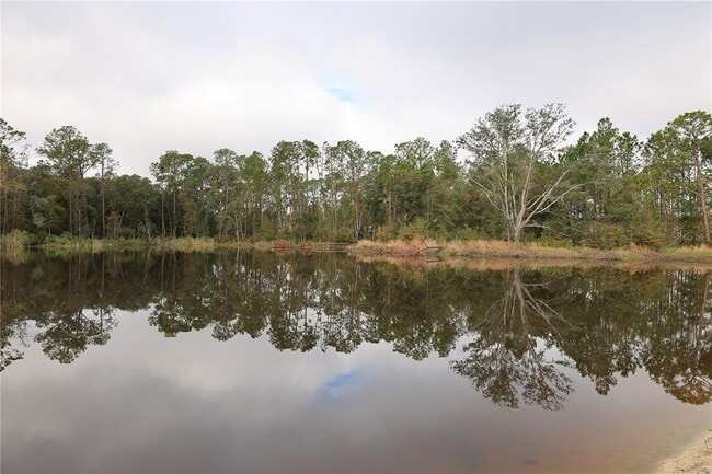 Photo - 2803 Lotus Flower Trl