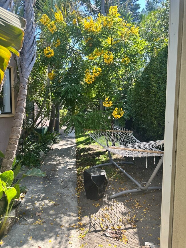 Grassy Area - 2538 1/2 Military Ave Unit 2536.5