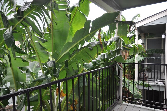 Photo - 3754 Tanglewilde St Unit C16