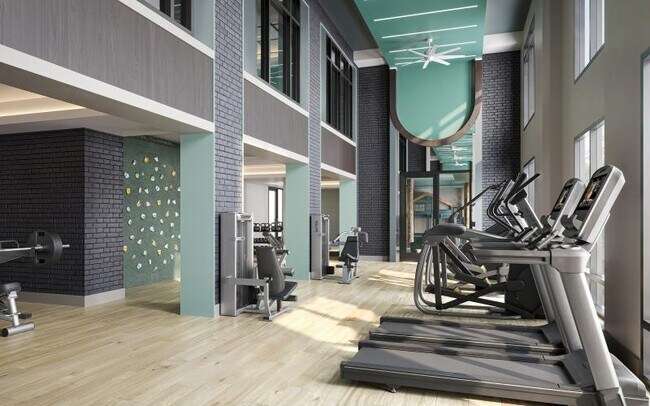 Photo - Bevelo Larkspur