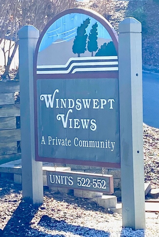 Photo - Central AVL - It's all about the view!!!