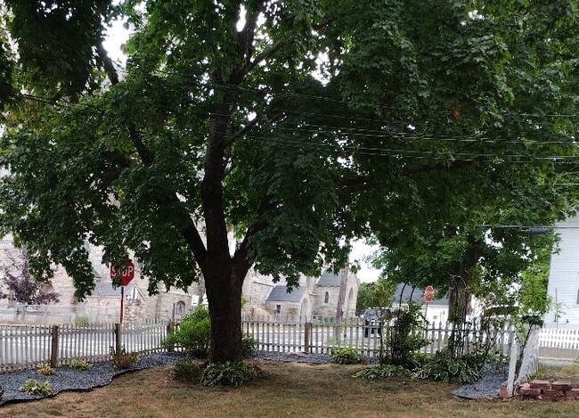 Jardín - 33 Sumner St Unidad Apt 1