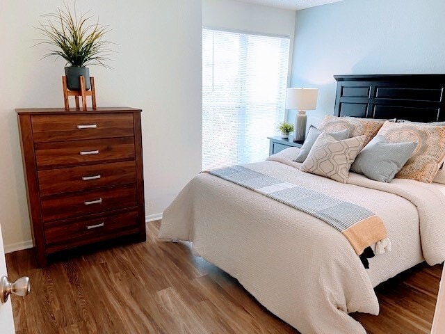 Photo - Lake in the Woods