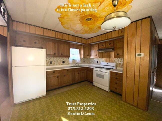 Photo - Singlewide with Fridgerated AC downtown area