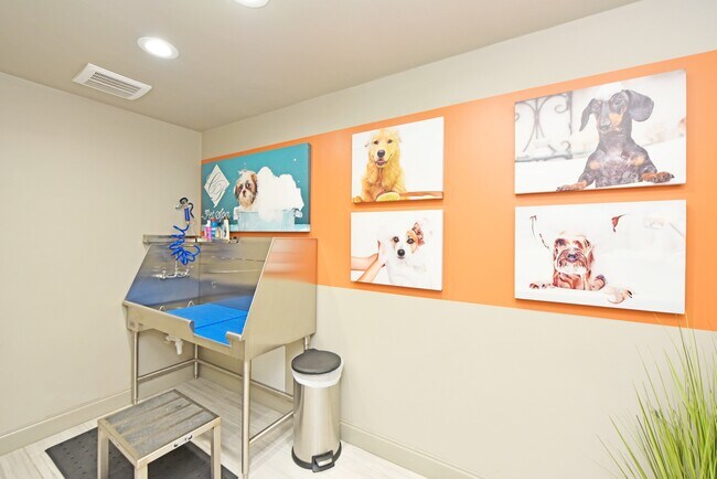 24/7 Pet Grooming Station