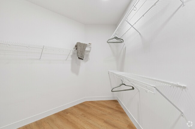 1BR, 1BA - 687SF - Walk in Closet