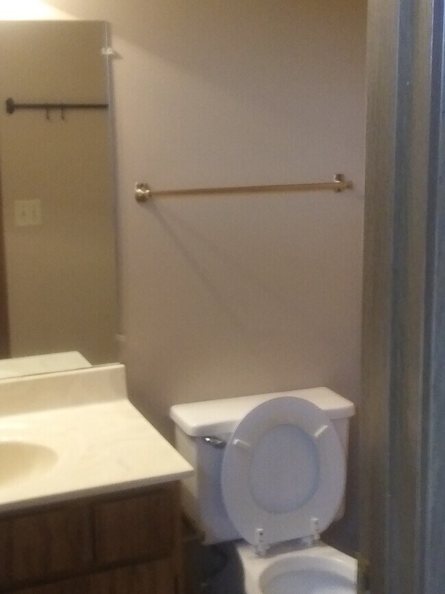 Bathroom - 3921 Mack Rd Unit 49