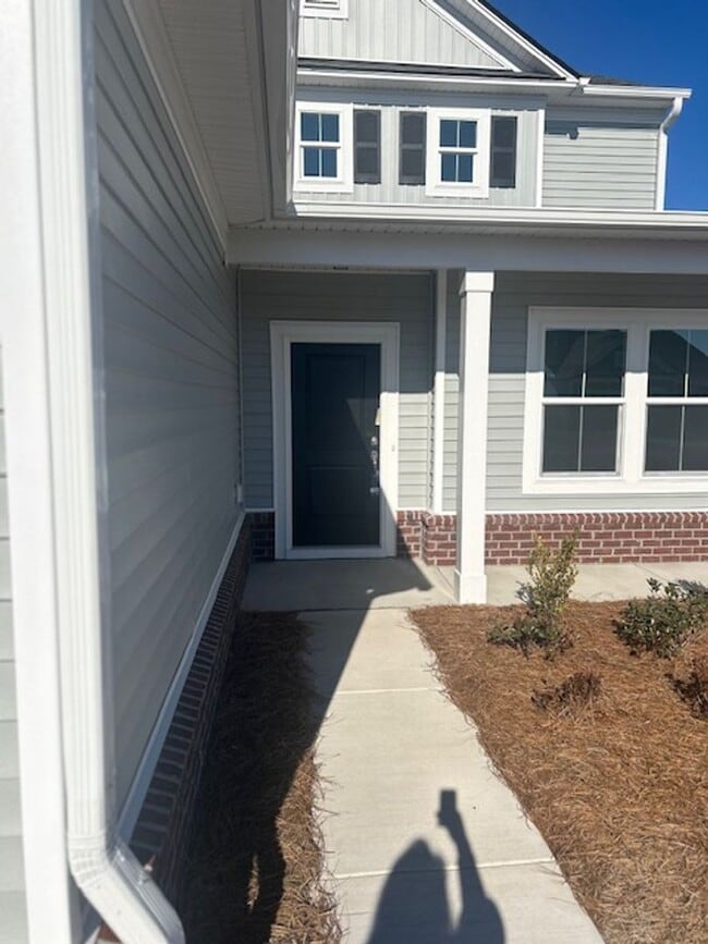 Photo - Berkshire Forest