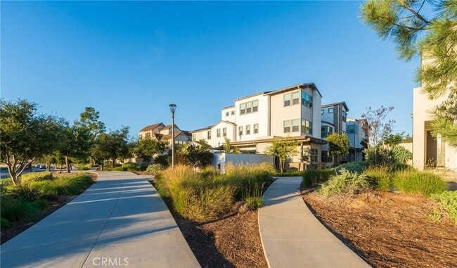 Photo - 102 Spectacle