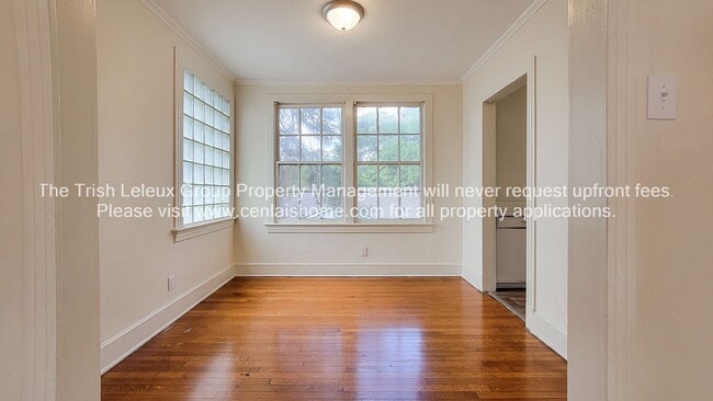 Photo - ** Large 1/1 ready now**