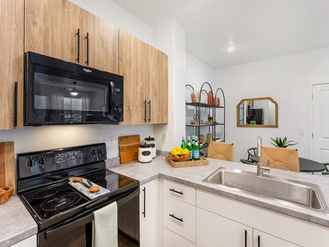 Kitchen with Black Appliances