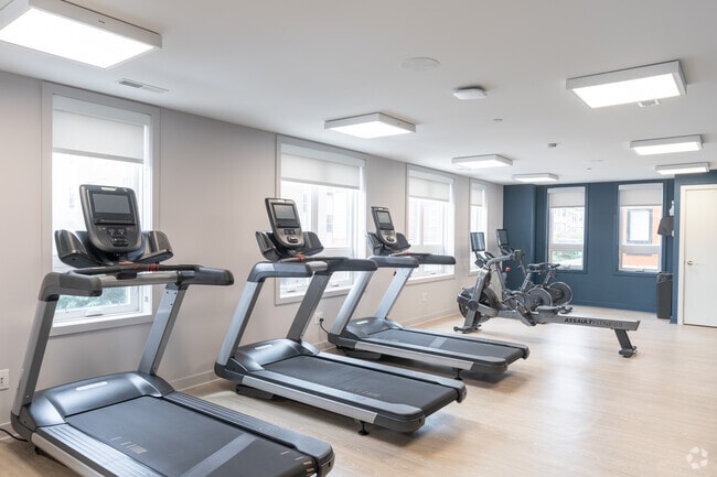 Gimnasio