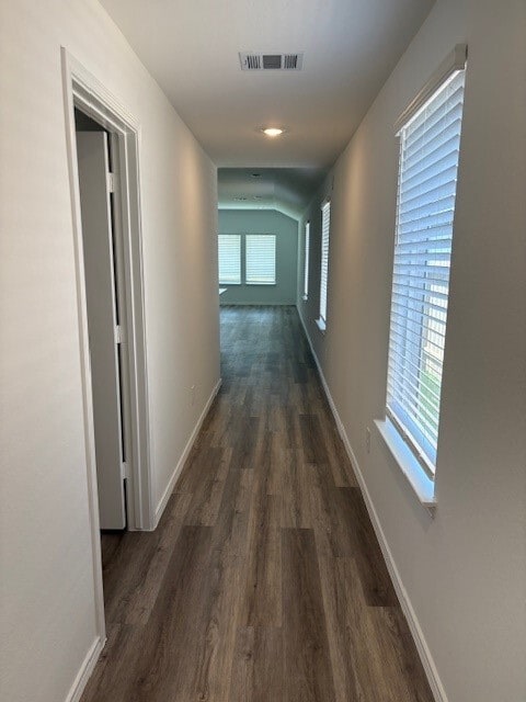 Building Photo - 14234 Northern Pintail Ct Rental