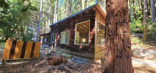 Photo - Cabin In the Wood!