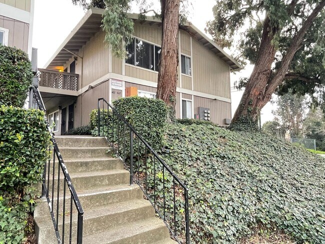 Photo - Upstairs Vallejo 1-Bedroom with Newer Carpet & On-Site Laundry Unit 407 Fleming Ave E