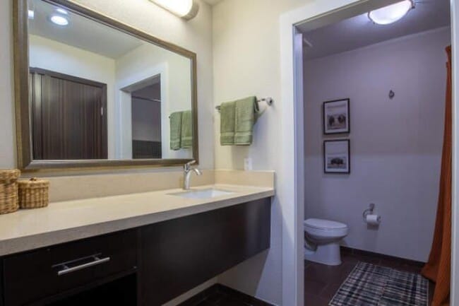 Photo - 1 bedroom in Houston TX 77070 Unit 147
