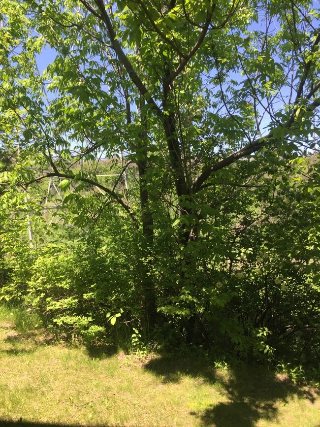 Photo - 2778 Hidden Dr