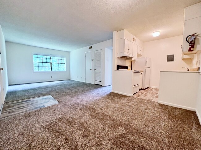 Photo - Yorkleigh Apartments