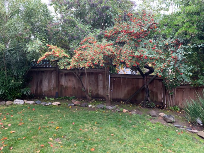 Photo - 1234 Overlook Dr