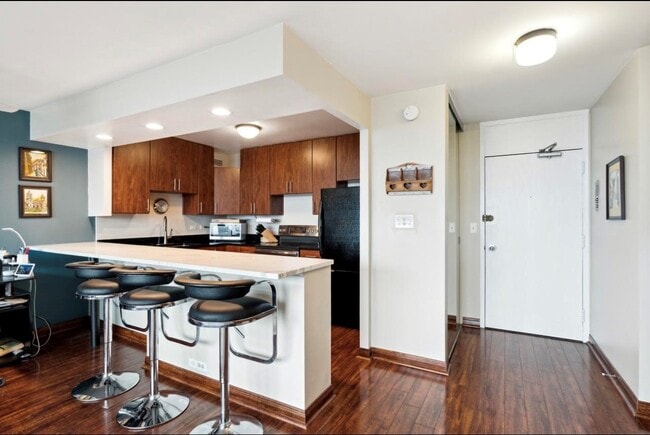 Photo - 1255 N Sandburg Ter Unidad 2309