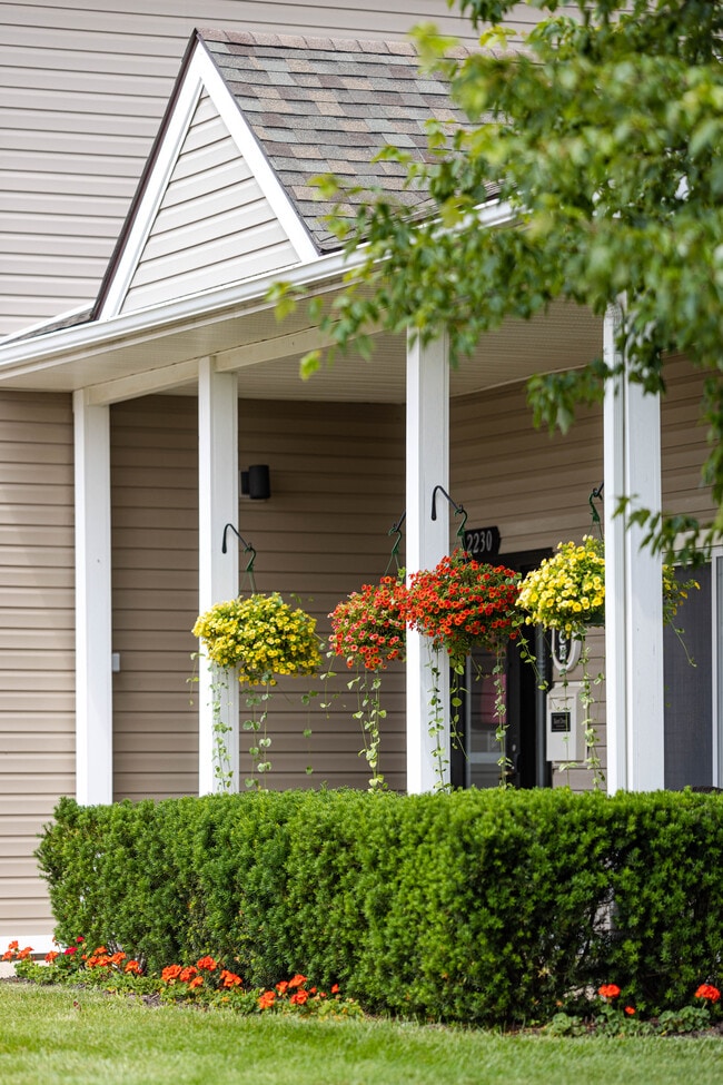 Photo - Walkabout Creek