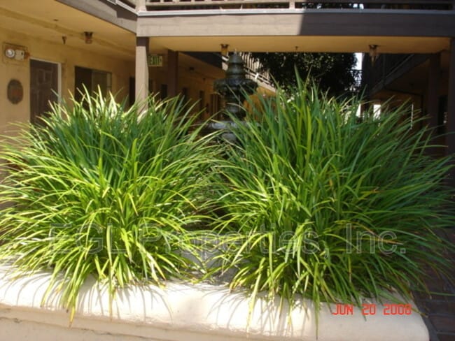 Photo - 1460 N Mansfield Ave Unit #308