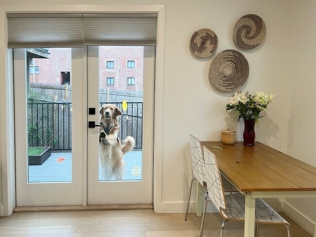 Photo - 360 Meridian St Unit 3