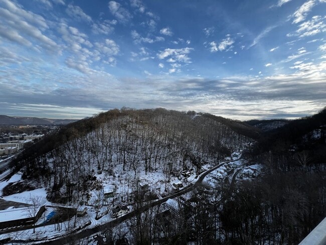 Photo - Beautiful Fifteenth floor Furnished one Bedroom with Views