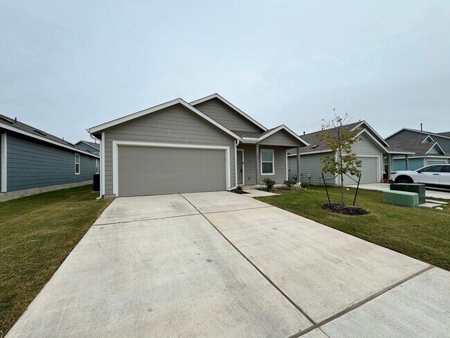 Photo - 109 Little Sparklers Lp