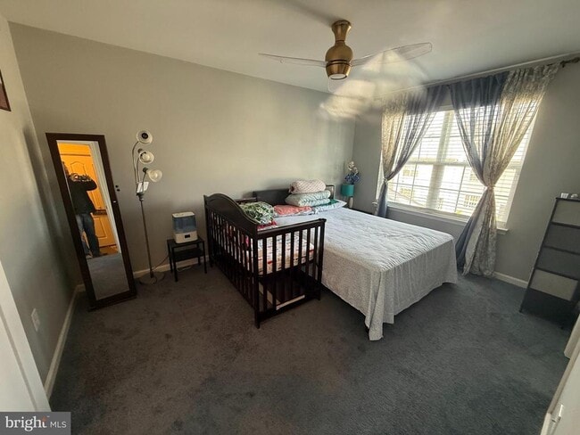 Photo - 8462 Hedwig Ln