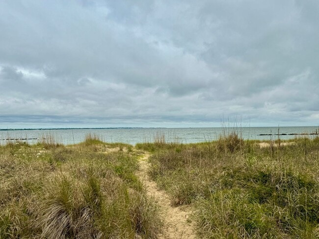 Photo - Beach Lovers!