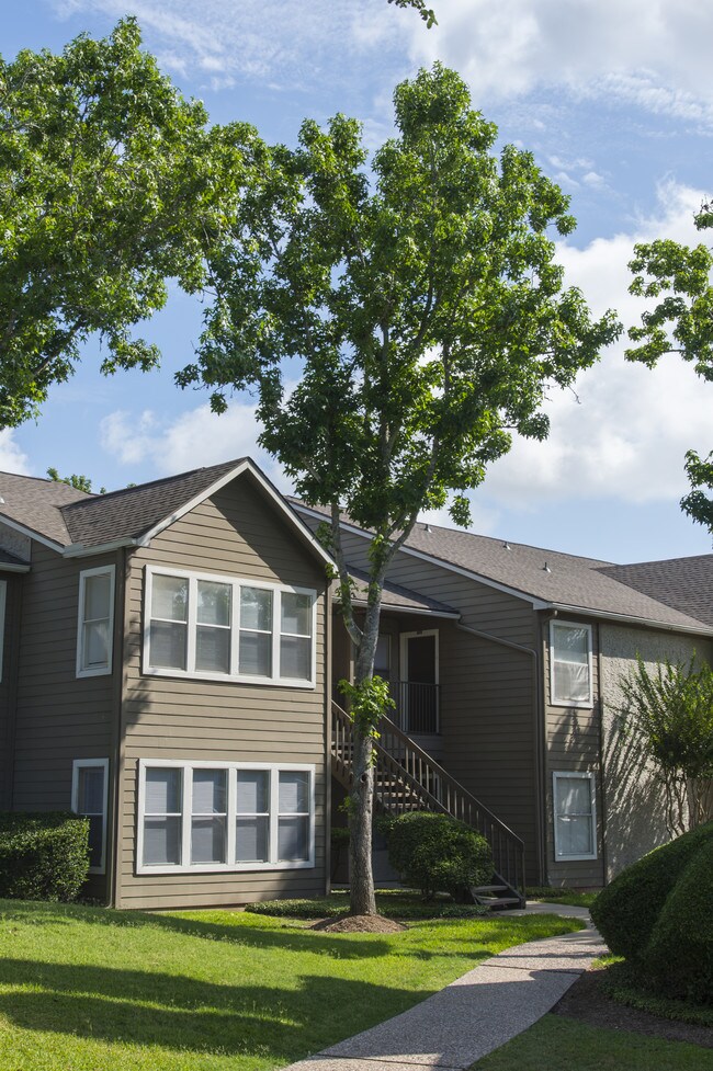 Bellevue At Pecan Grove Apartments For Rent in Richmond, TX