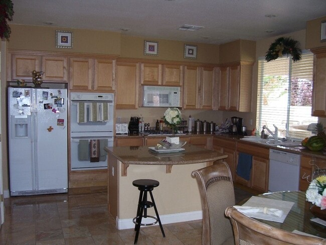 Photo - LACEBARK PINE