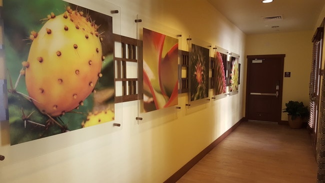 Photo - Aeroterra Senior Village