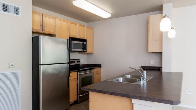 Kitchen with Stainless Steel Appliances