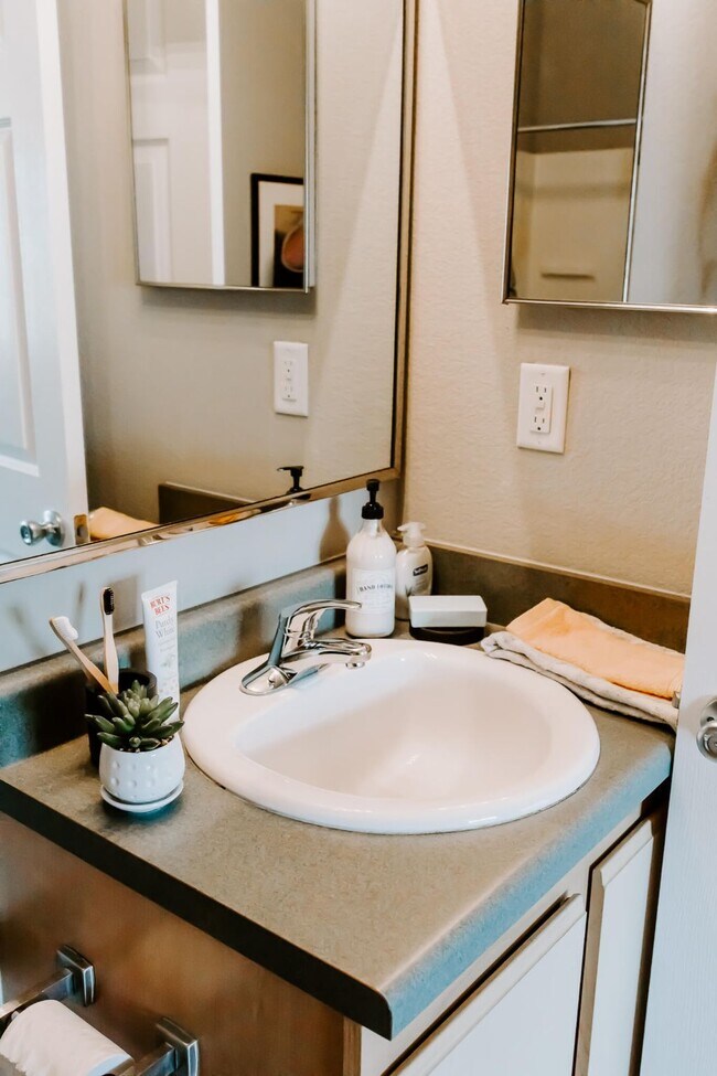 The Quad Apartments Natchitoches, LA