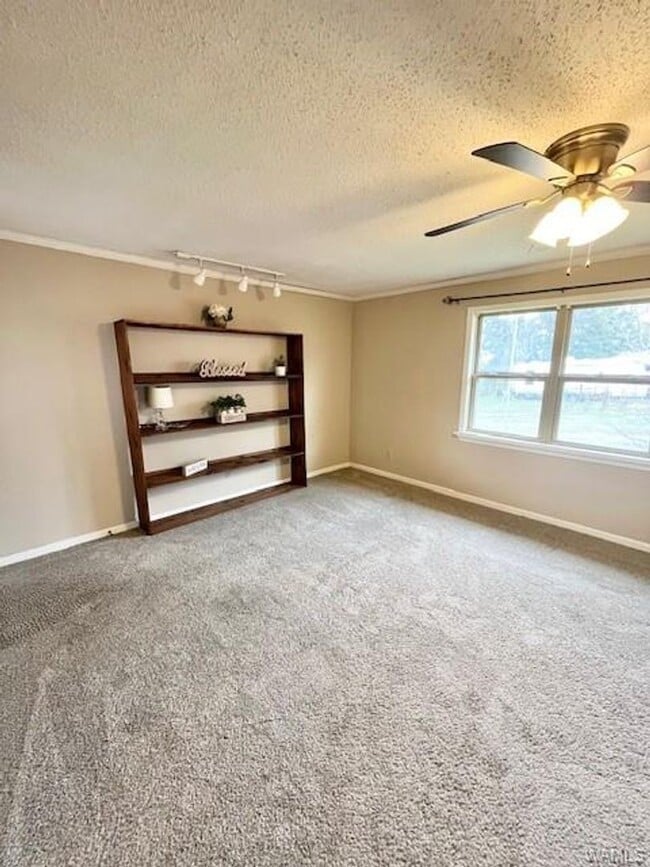 Photo - 11577 Sipsey Valley Rd