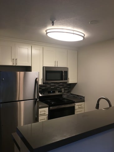 remodeled unit/kitchen