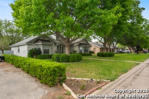 Photo - 109 Weeping Willow