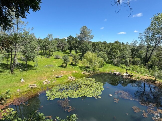 Building Photo - Scenic North Auburn Living – 1 bedroom 2-S... Rental