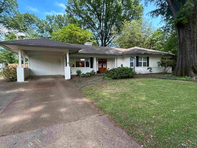 Building Photo - 286 Belhaven St