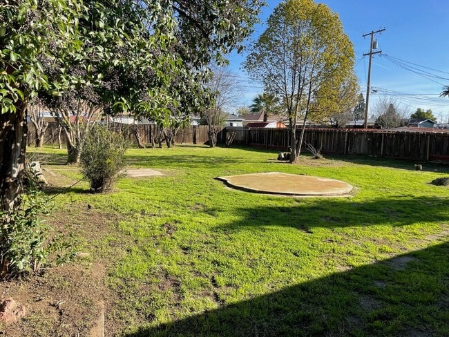 Photo - Available Soon!