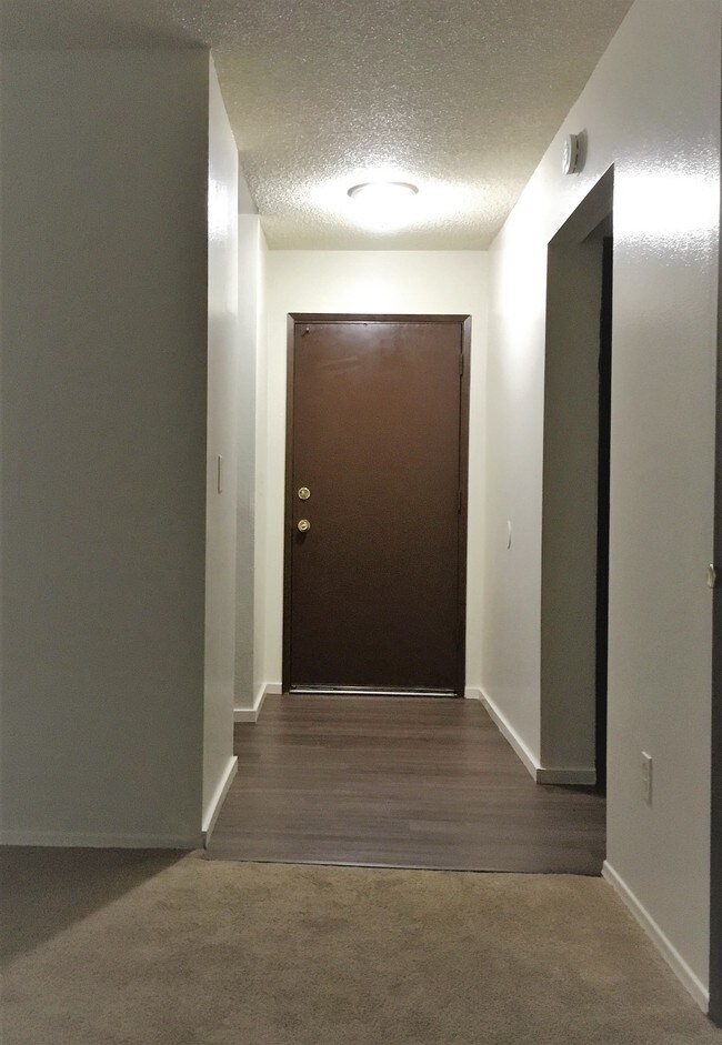 Photo - Bardon Apartments