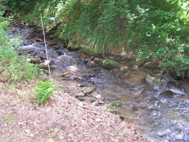 Photo - 1 Bedroom/1 Bath House with bonus office space on Fisher Creek in Sylva NC $1100 a month with a y...