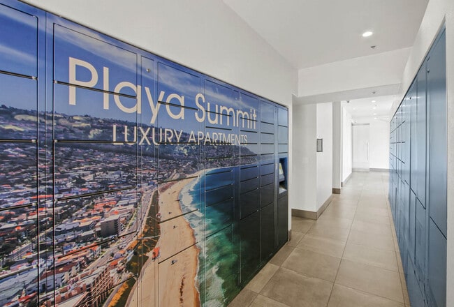Playa Summit