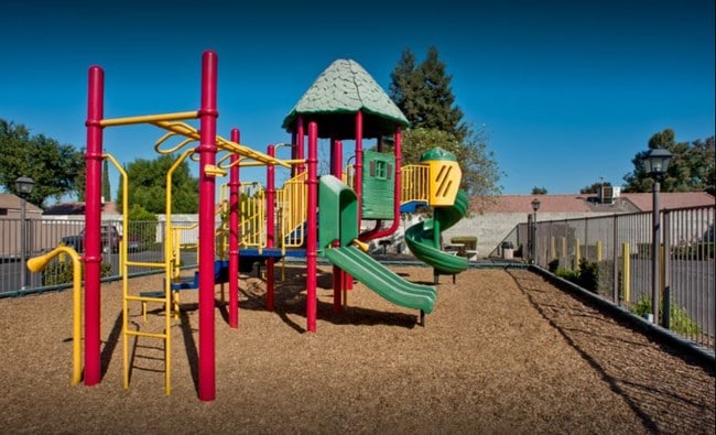 Photo - Golden Meadows