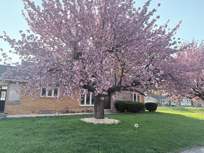 Photo - 1830 Laubach Ave