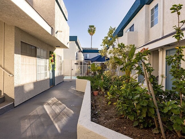 Courtyard at Tilden Oaks Apartments.