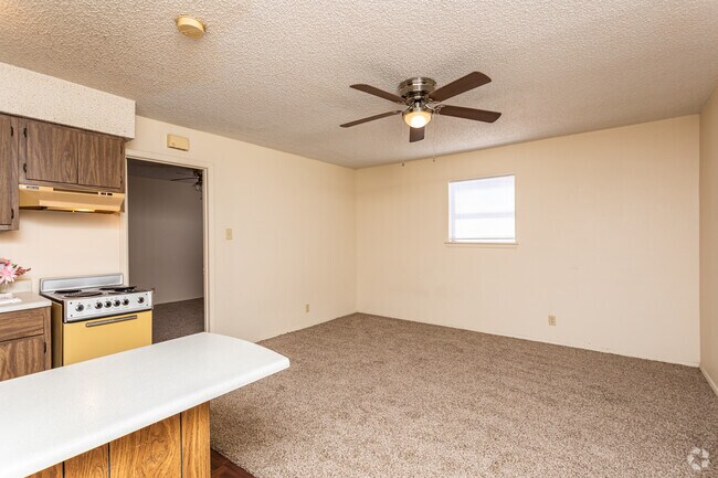 1BR, 1BA -438SF Living Room - 212 Koberlin St